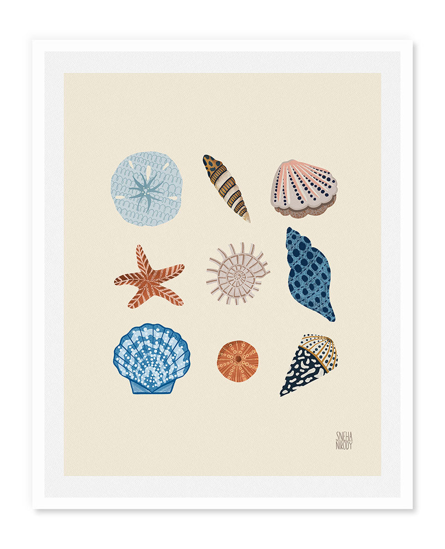 Summer Seashells Art Print WS