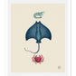 Manta ray, Shrimp, Crab Art Print WS