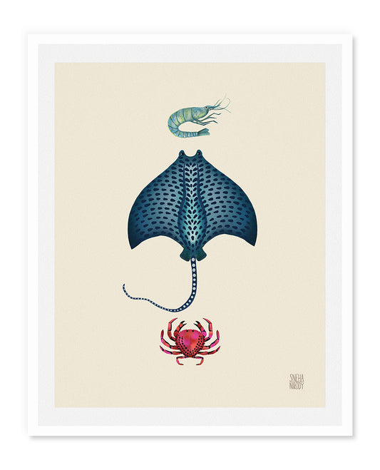 Manta ray, Shrimp, Crab Art Print WS